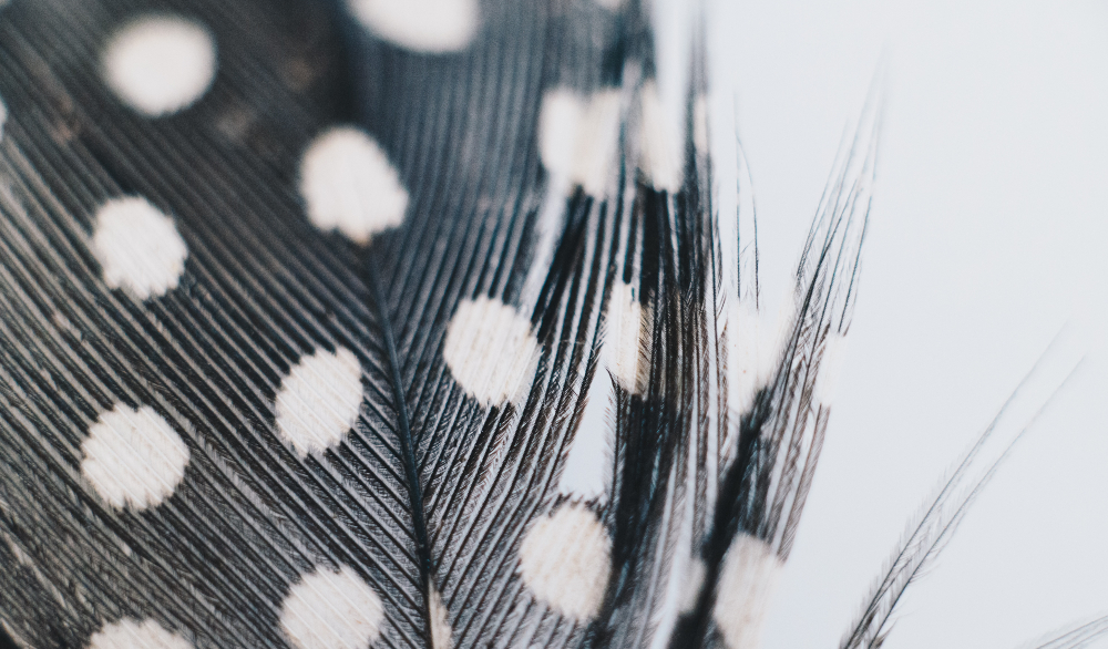 El sérum elimina las manchas de la piel