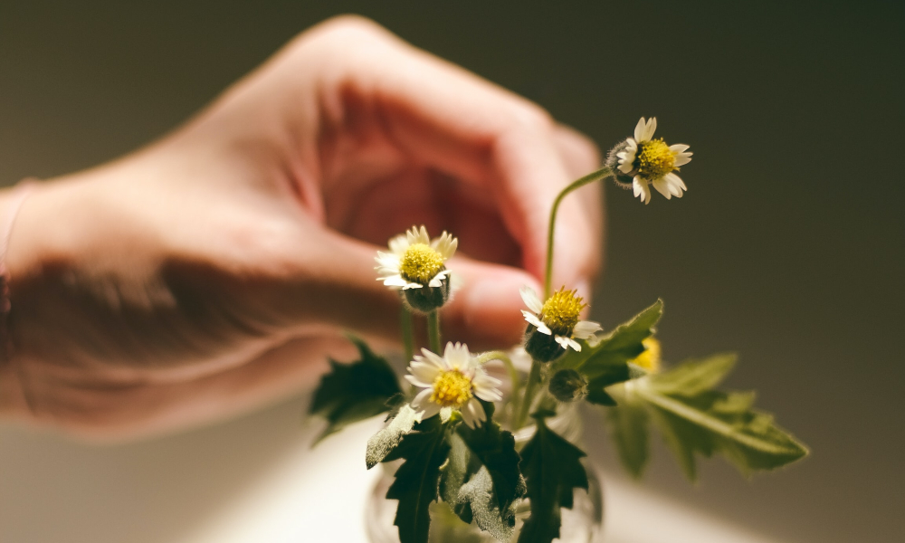 Cómo se hace un sérum casero para piel mixta