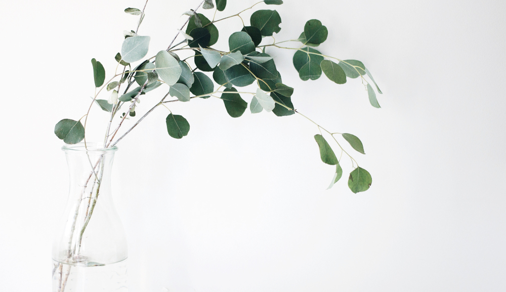 Elaborar sérum casero para piel mixta